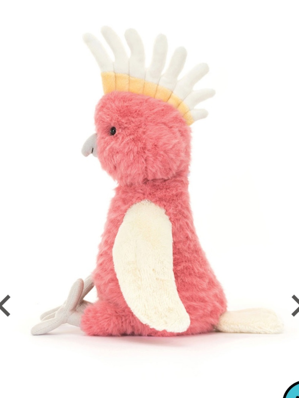 Jellycat Squawkatoo - Picture 2 of 11